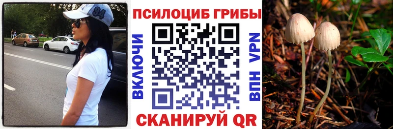 Галлюциногенные грибы прущие грибы  ссылка на мегу как войти  Дальнереченск  как найти закладки 